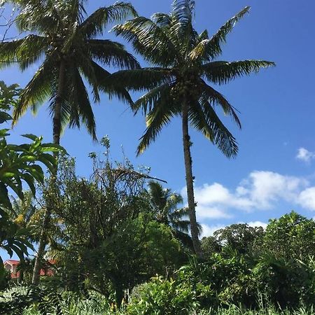 Logement En Pleine Verdure Tropicale -10 Min Plage Le Morne-Rouge 外观 照片