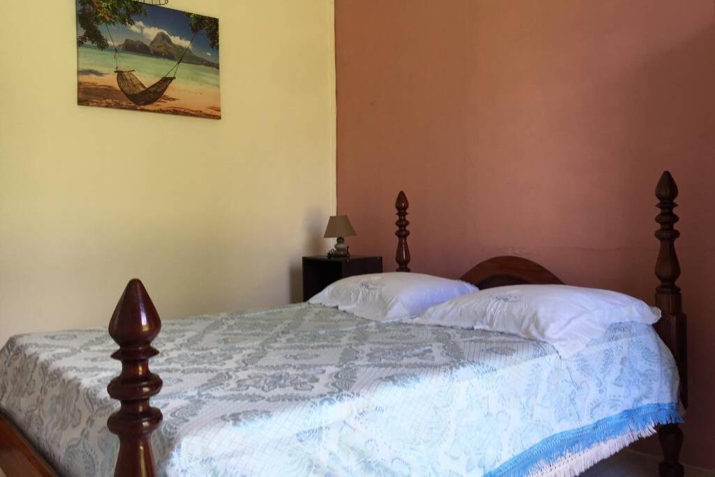 Logement En Pleine Verdure Tropicale -10 Min Plage Le Morne-Rouge 外观 照片