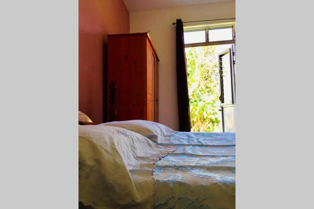 Logement En Pleine Verdure Tropicale -10 Min Plage Le Morne-Rouge 外观 照片