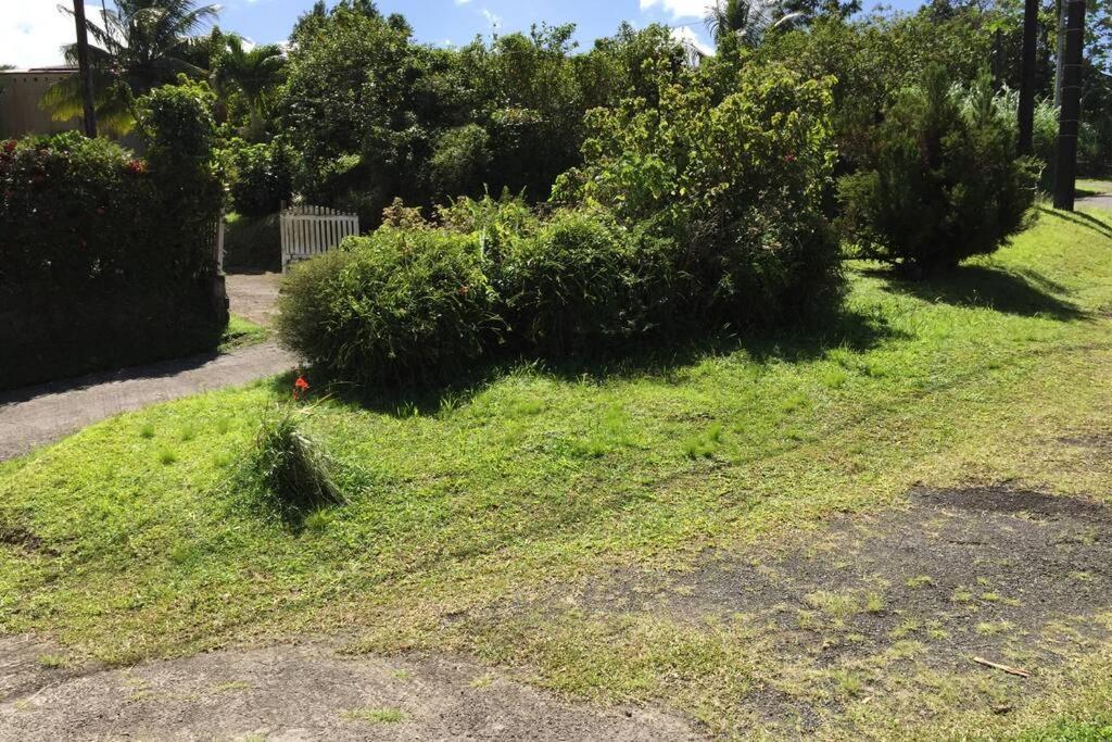 Logement En Pleine Verdure Tropicale -10 Min Plage Le Morne-Rouge 外观 照片